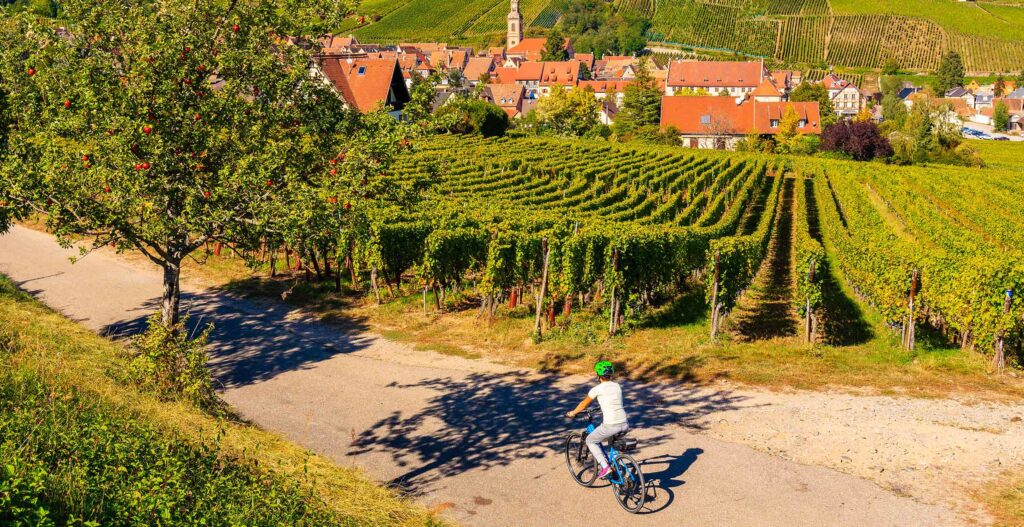 bicycling wine country in france