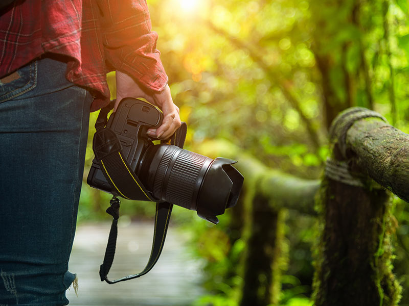 teenager walking through a forest with their camera