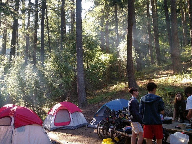 camping during a bike tour in pacific redwoods